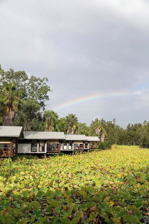 Exterior - Hunter Valley Couples Retreat - Boathouse 2, Bathhouse 2 at Leaves and Fishes (Lovedale)