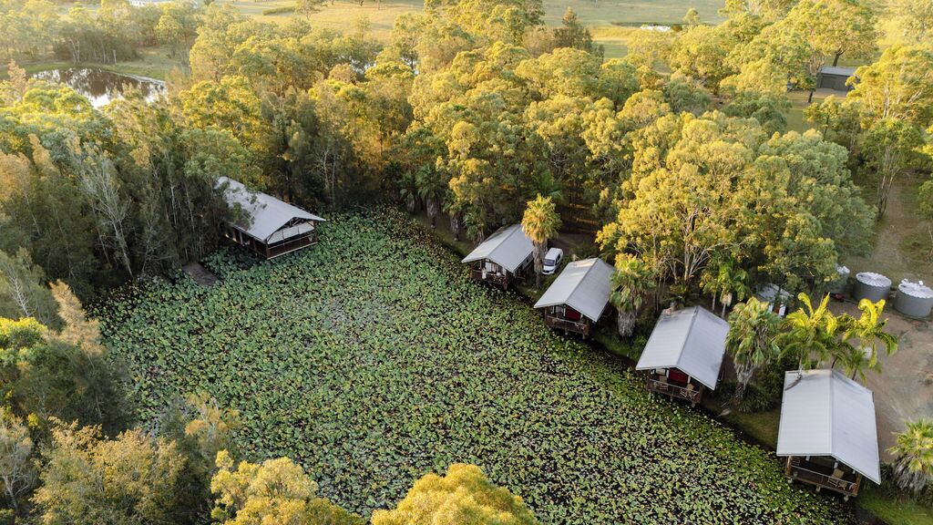 Vista aérea de una propiedad con varias cabañas rodeadas de vegetación densa y un estanque.
