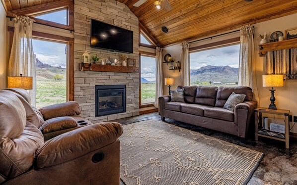 Smart TV, fireplace, books