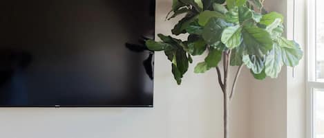 Un salon avec un téléviseur à écran plat fixé au mur, une grande plante en pot, un pouf en fibres tressées et une fenêtre avec des stores.