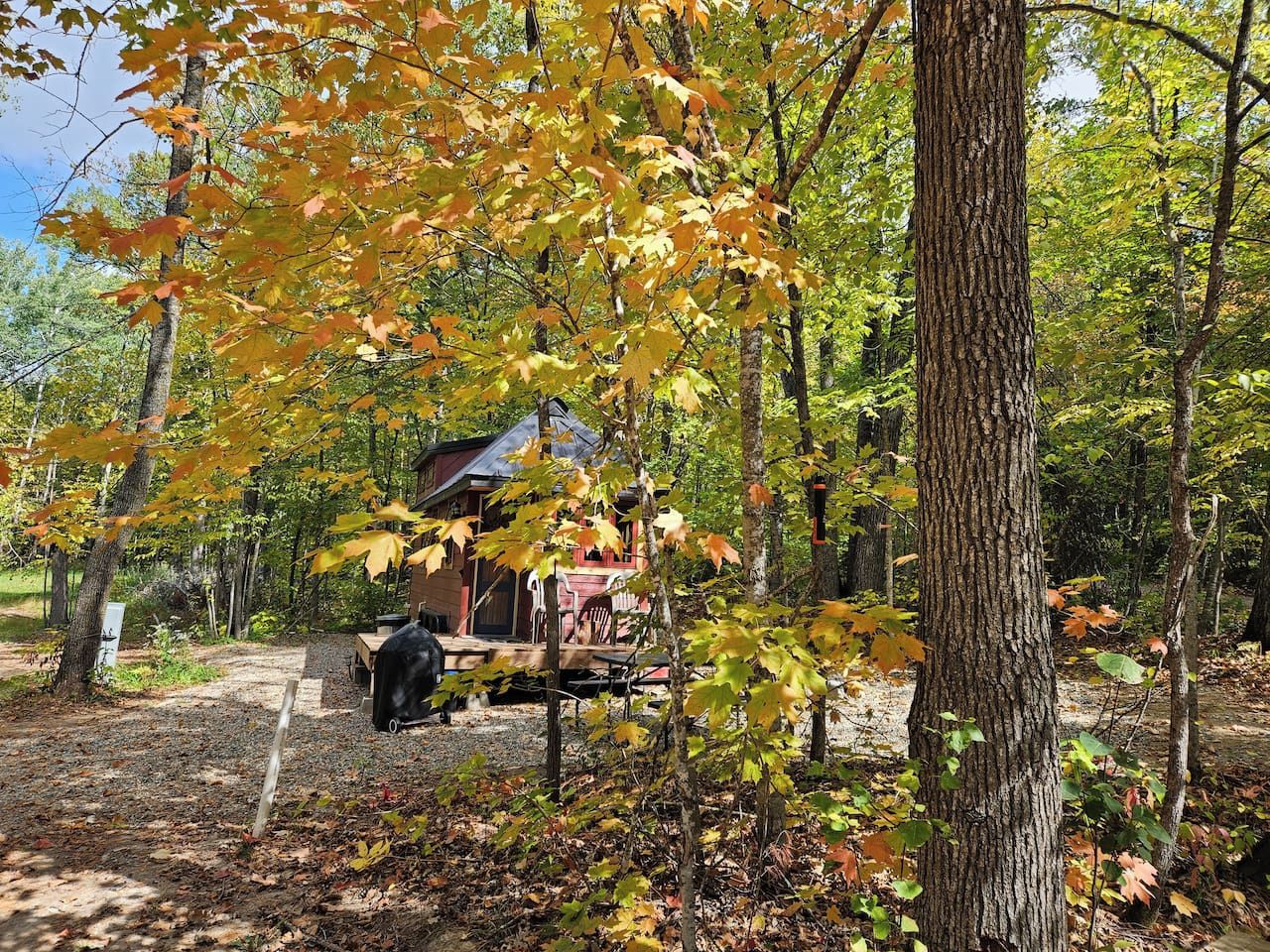 A rustic cabin with a wooden deck, surrounded by trees with autumn foliage.