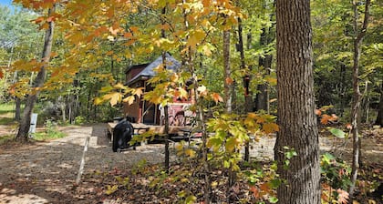 Tiny bungalow secluded in the woods with lake view. Pets accepted!