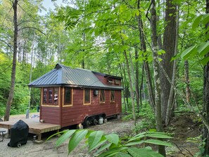 A small, single-story wooden cabin with a metal roof, situated in a forested area with a gravel path leading to it. - Tiny bungalow nestled in the towering pines (Nevis)