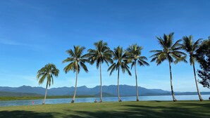 Eine friedliche Landschaft mit blauem Himmel, einem stillen See und einer Reihe von Palmen.