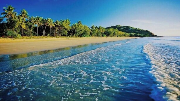 Ein Strand mit klarem Wasser, sandigem Ufer und Palmen.