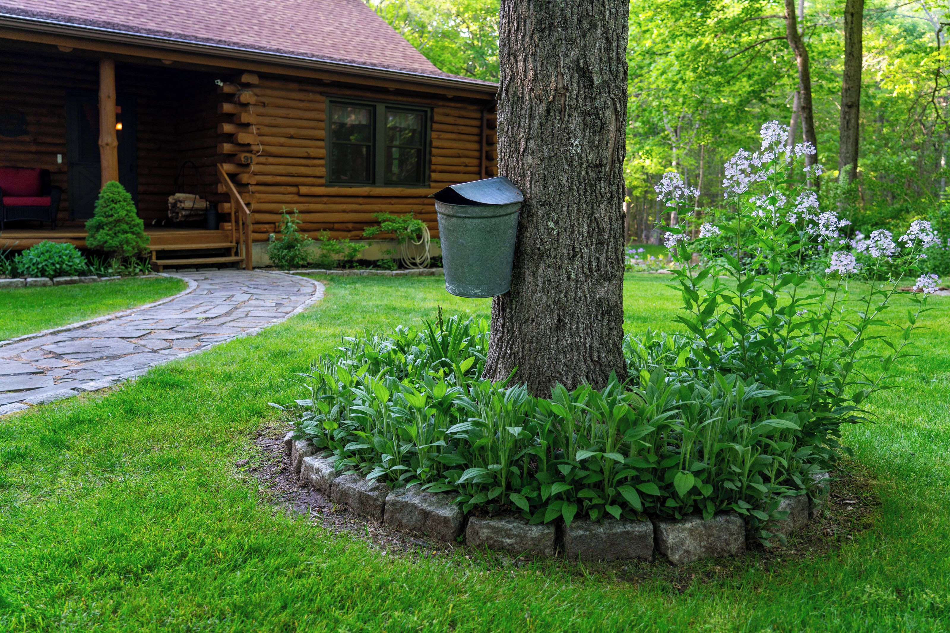 Área da propriedade