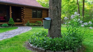 Una cabaña de madera con un sendero de piedra que conduce a la entrada, rodeada de abundante vegetación y plantas en flor.