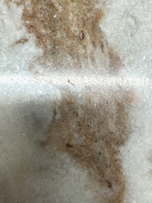 Miscellaneous - Clean, homey, spacious home in a gated community with beautiful amenities. (Land O' Lakes)