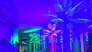 A hallway with illuminated palm trees and seating areas. - PARADISE FOUND! 2ND FL BEACHFRONT CONDO W/KITCHEN, POOLS, WATERPARK & OTHER FUN! (Panama City Beach)