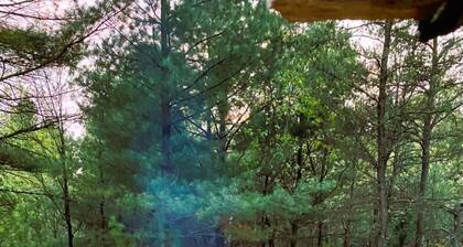 Bear Paw Lodge • Luxury Cabin • Game Room • Fire Pit