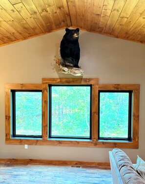 Interior - Bear Paw Lodge • Luxury Cabin • Game Room • Fire Pit (Wisconsin Dells)