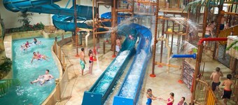 Bear Paw Lodge • Luxury Cabin • Game Room • Fire Pit