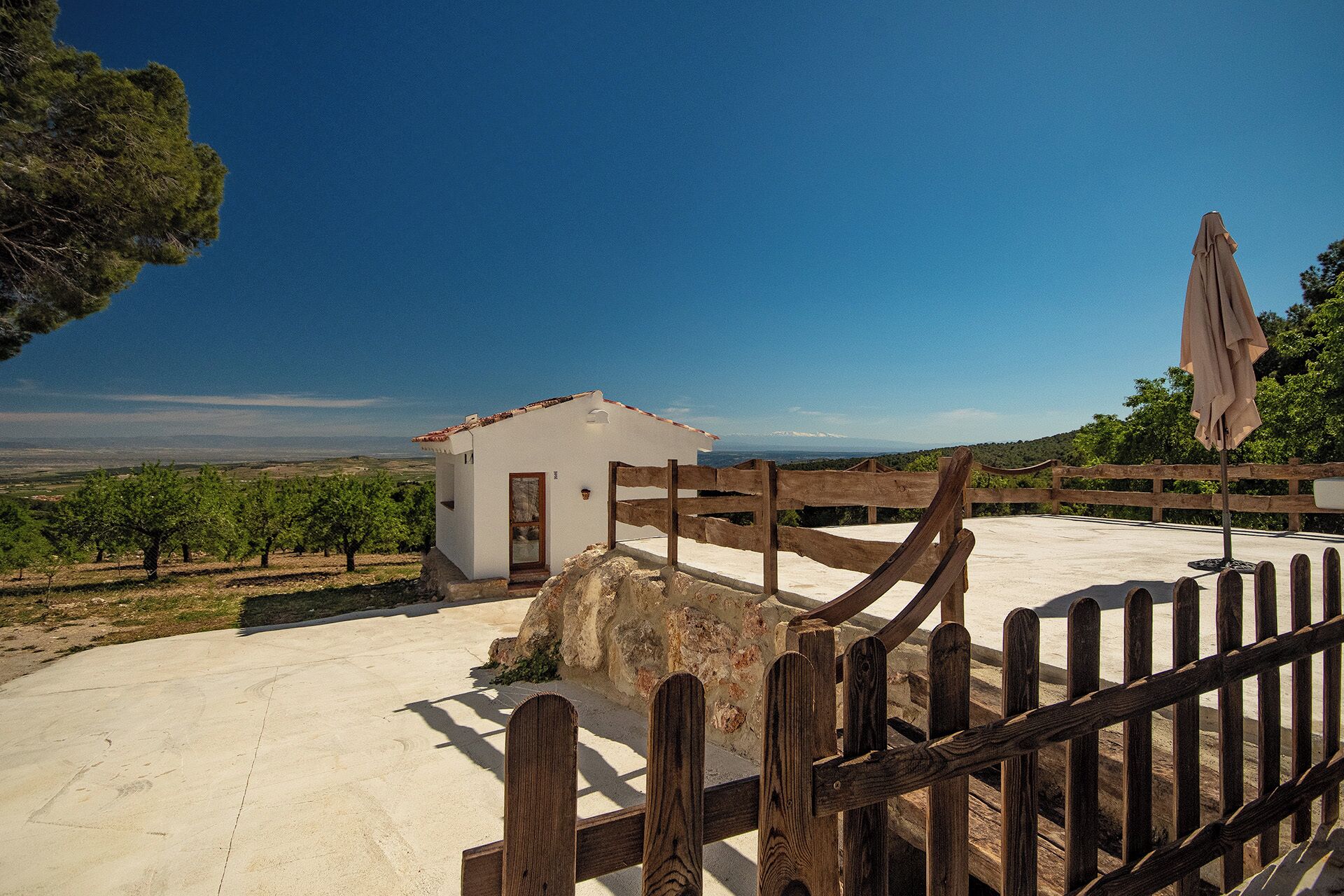 A rustic wooden fence, a small white building, and a vineyard in the background.