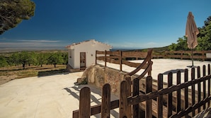A rustic wooden fence, a small white building, and a vineyard in the background.