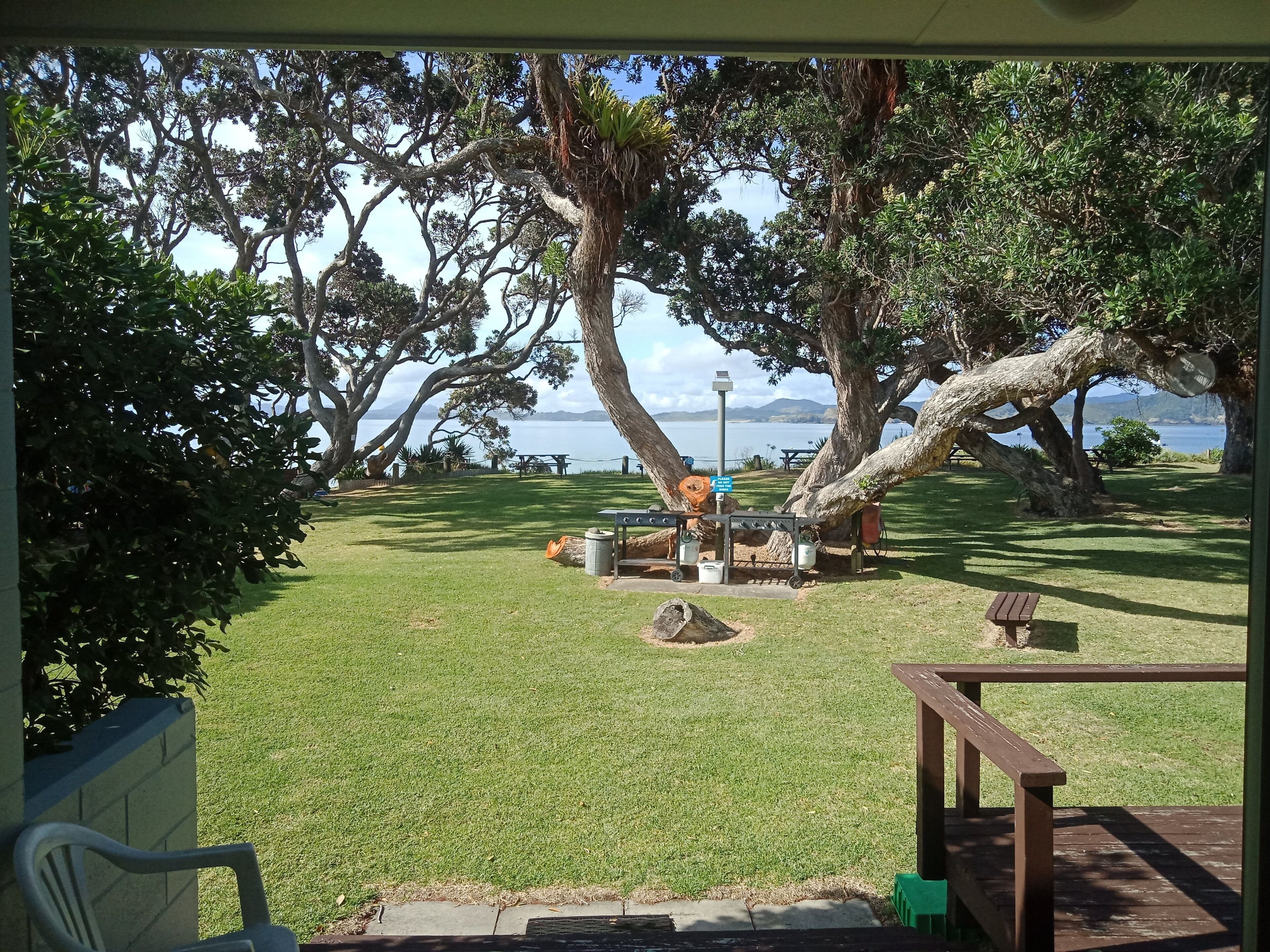 A grassy outdoor area with picnic tables and a bench, overlooking a body of water.