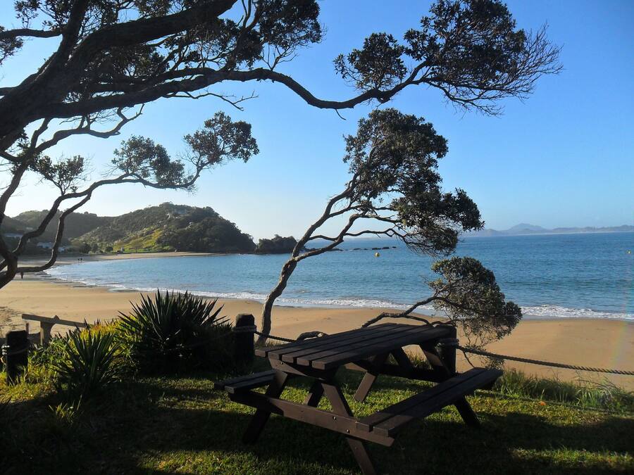 Una mesa de picnic de madera y un banco en un área verde, con vista a la playa y al océano.