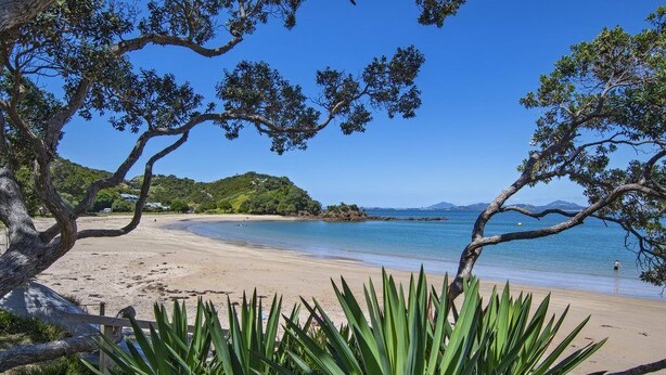 A beach with clear blue water, sandy shore, and green vegetation in the foreground. - The Sands Motel (Tutukaka)