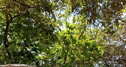 New 2BR Condo in Las Catalinas beachtown: El Prado