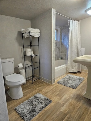 Hair dryer, towels, soap, shampoo