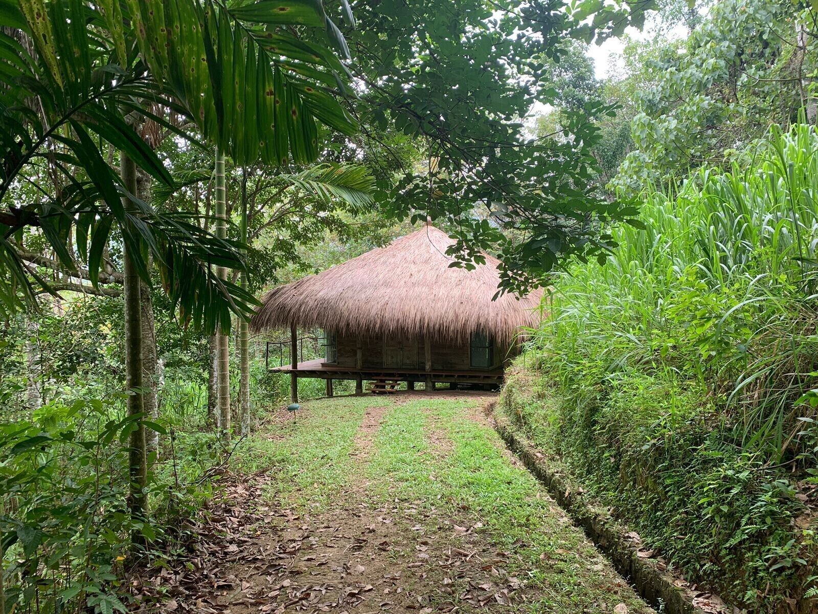 Bàn, truy cập Internet không dây miễn phí, bộ trải giường 