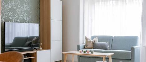 Fernseher, Arbeitsbereiche