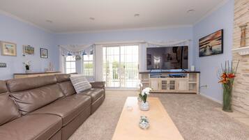 TV connectée, cheminée, livres