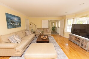 Smart TV, fireplace, books