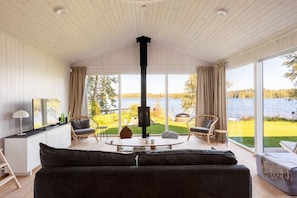 Televisión, chimenea y estéreo 