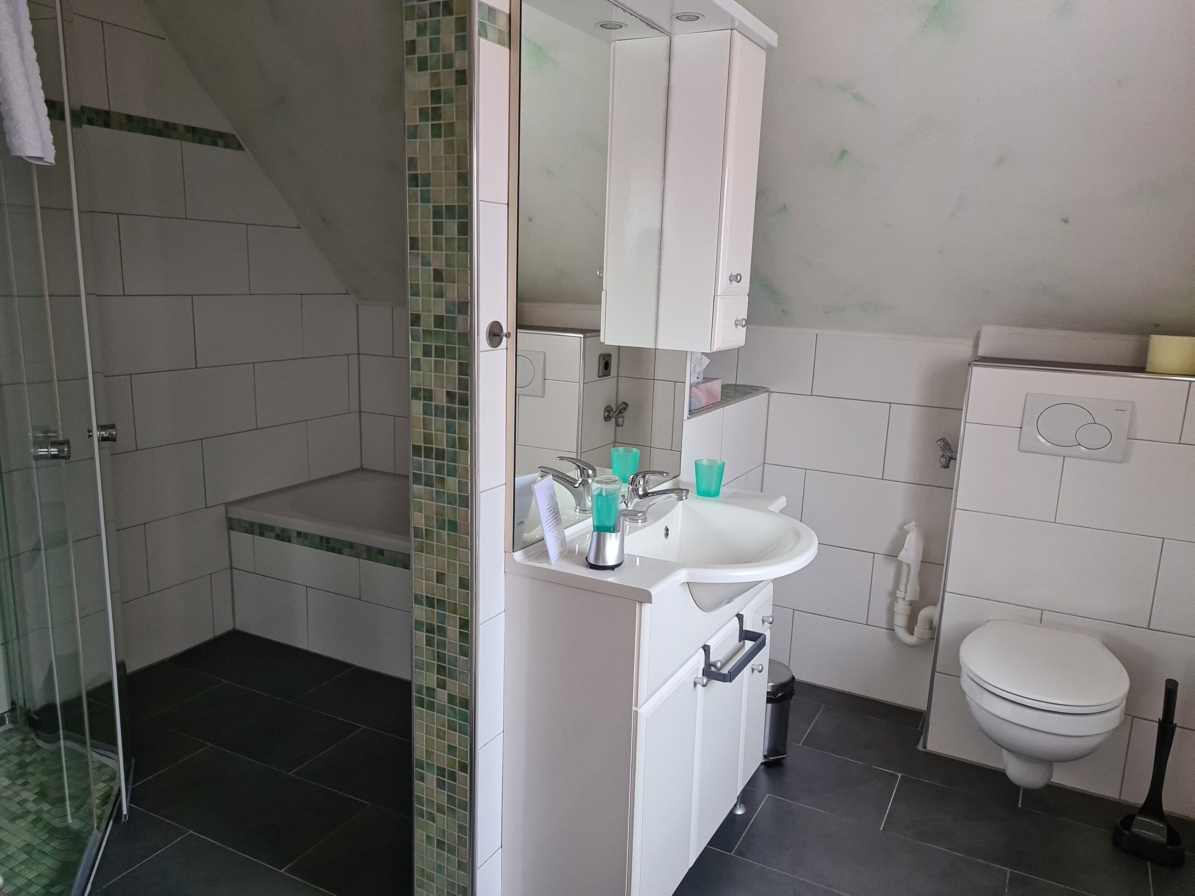 Een badkamer met een douche, wastafel, toilet en een spiegel boven de wastafel.