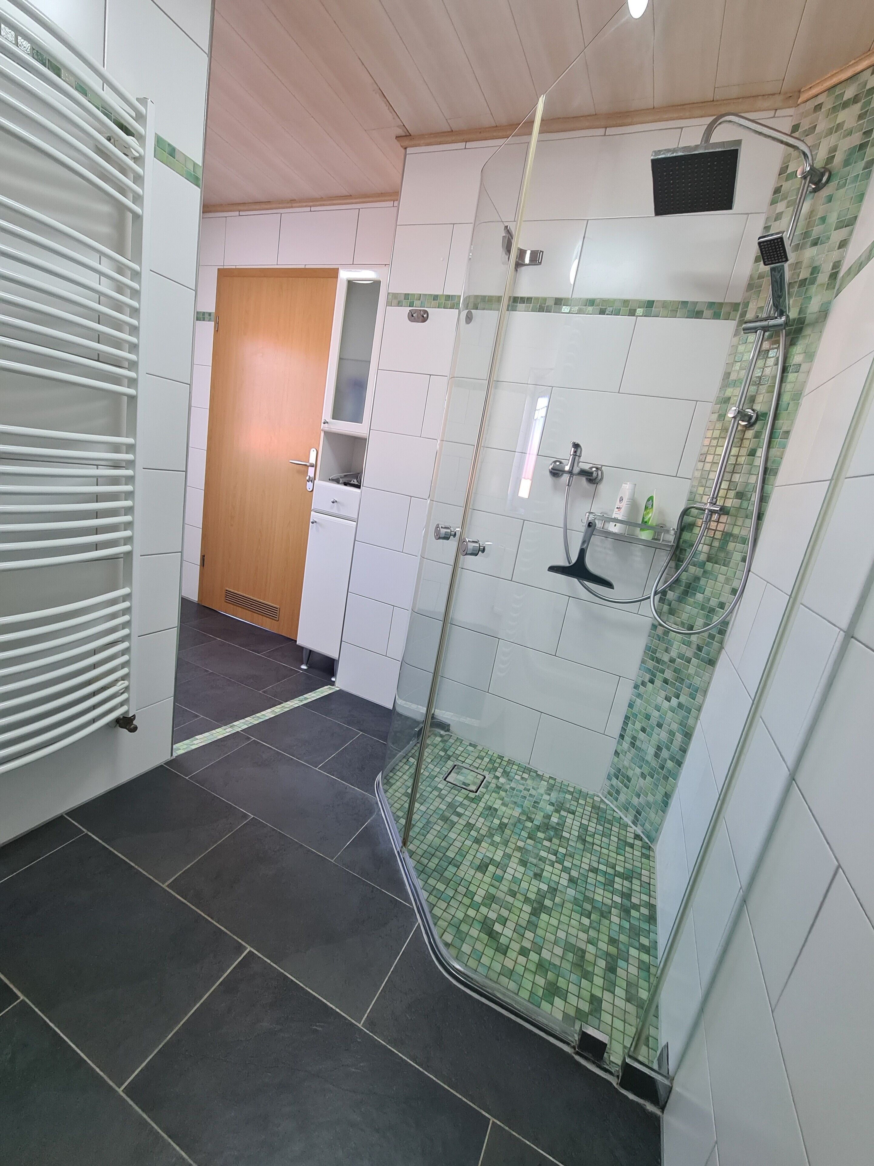 Shower, hair dryer, towels