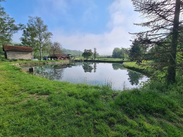 المنطقة المحيطة بالمنشأة