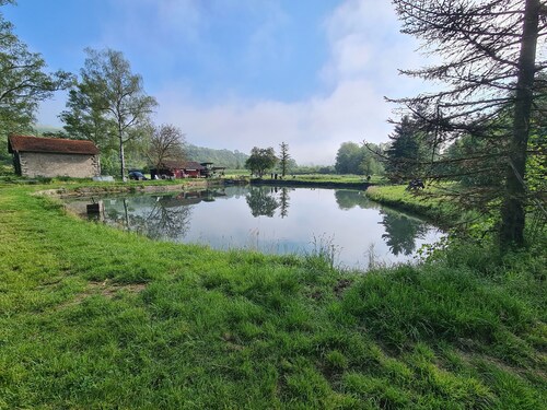 Ferienwohnung Pflüger mit privater Terrasse und WLAN