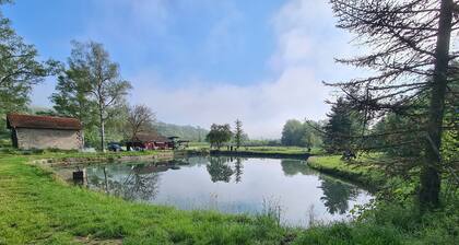 Ferienwohnung Pflüger mit privater Terrasse und WLAN