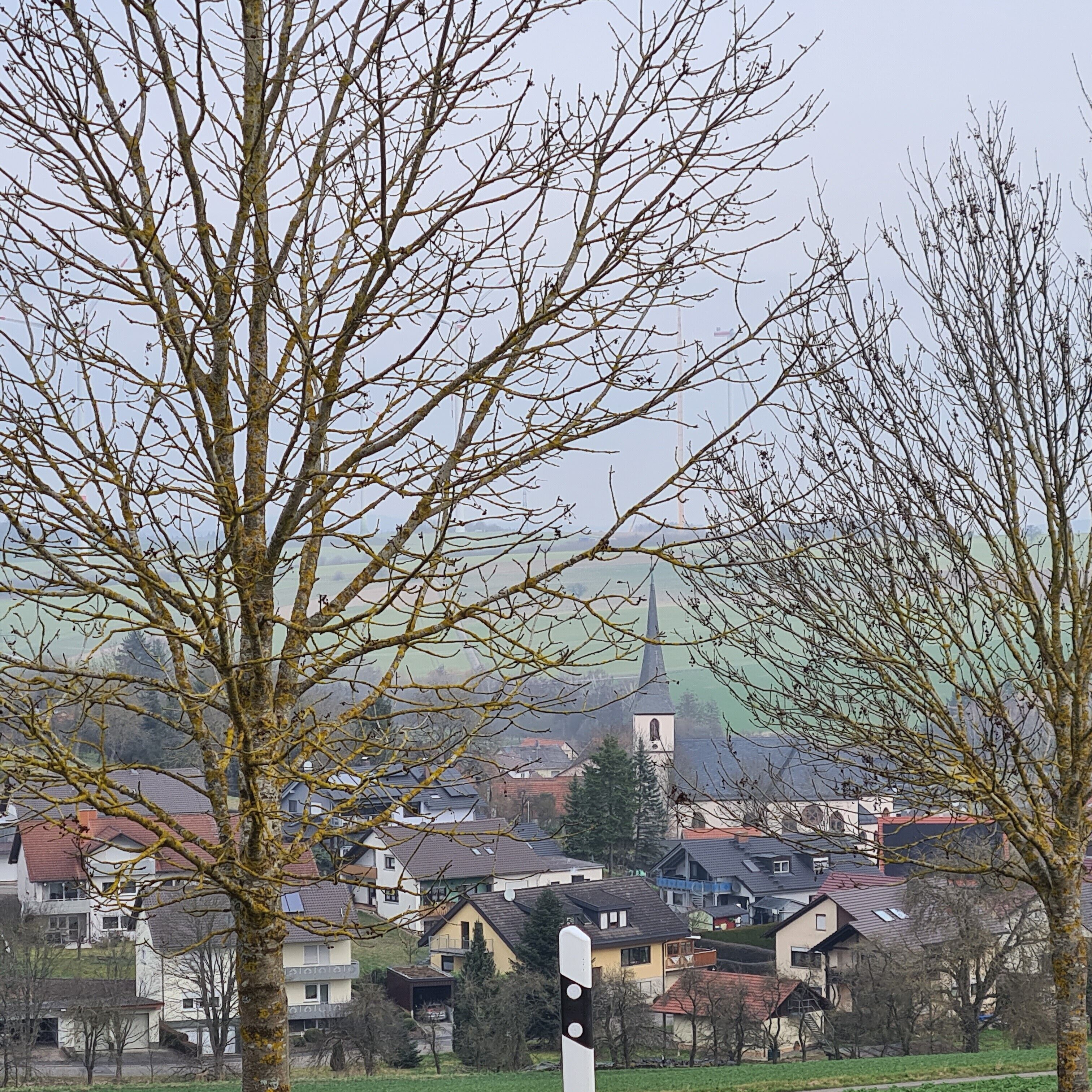 A town with houses, a church, and leafless trees.