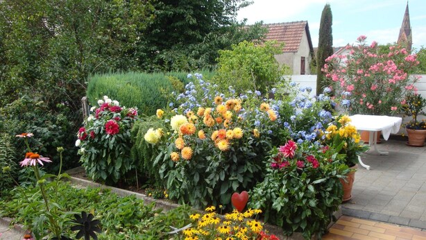 Un jardin où poussent différentes sortes de fleurs et une table recouverte d’une nappe blanche.