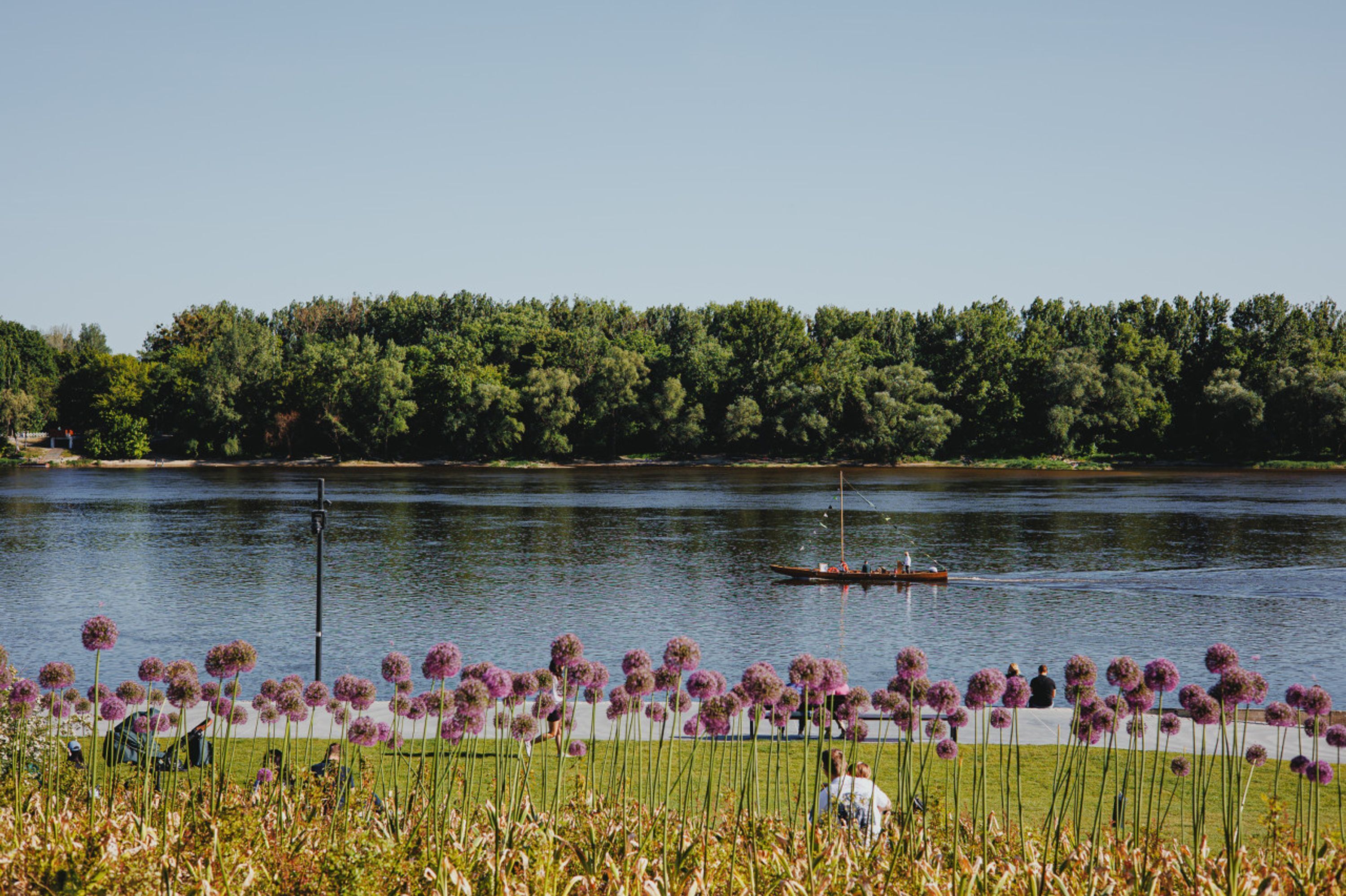 Une vue paisible sur un lac, avec un bateau sur l’eau, le tout entouré d’une végétation luxuriante et de fleurs violettes.