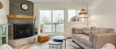 Télévision, cheminée, espaces bureaux