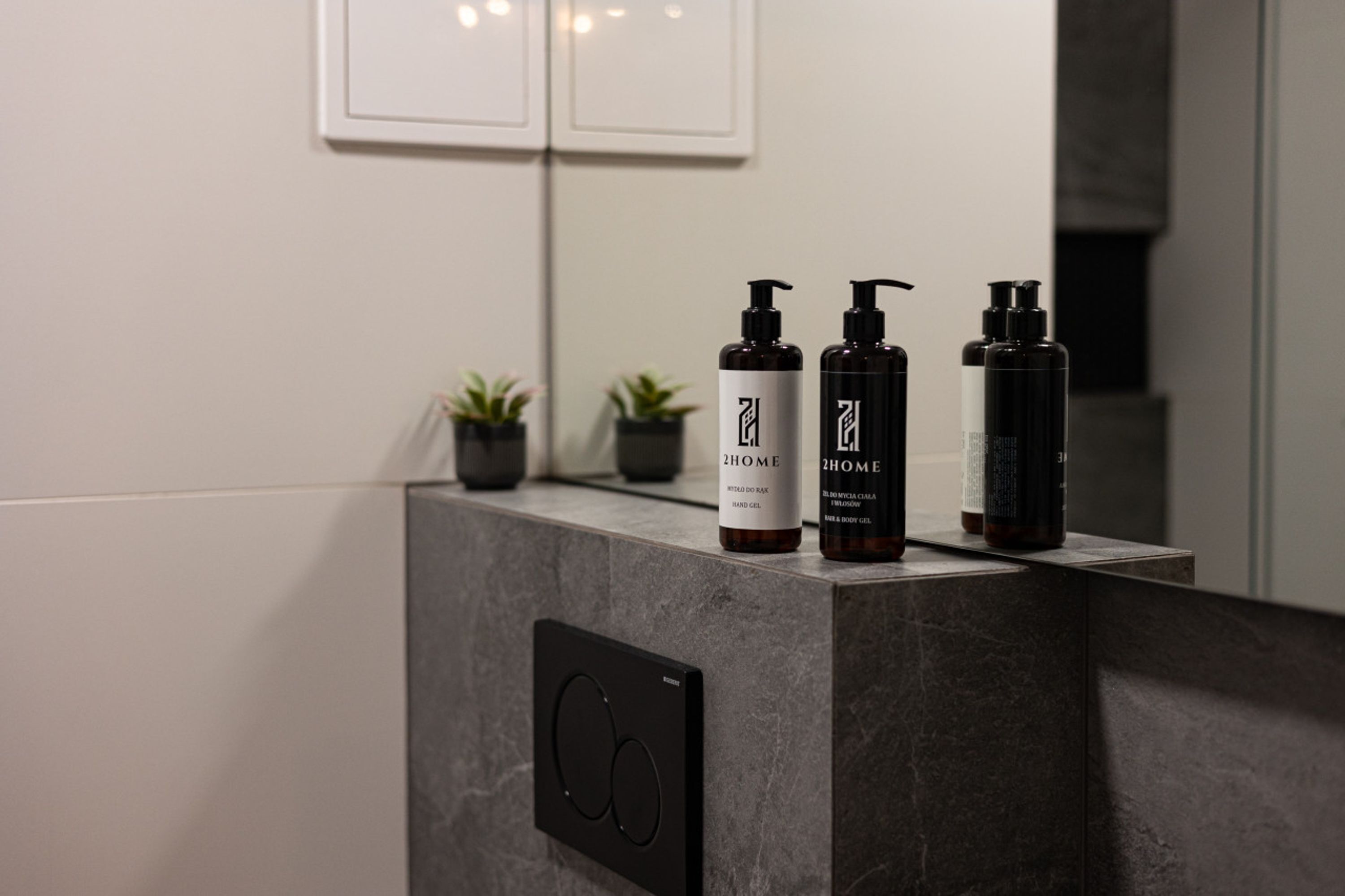 Un meuble-lavabo dans une salle de bain, avec trois flacons de gel hydroalcoolique et deux petites plantes en pot.