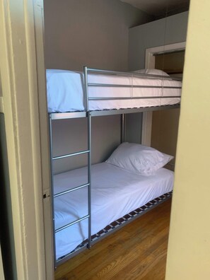 3 bedrooms, iron/ironing board, WiFi, bed sheets - 3 Bedroom Medical Center! (Chicago)