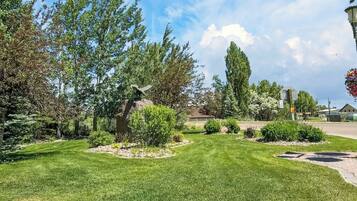 Terrein van de accommodatie