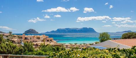 الإطلالة من المنشأة