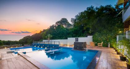 Grand Continent Morjim