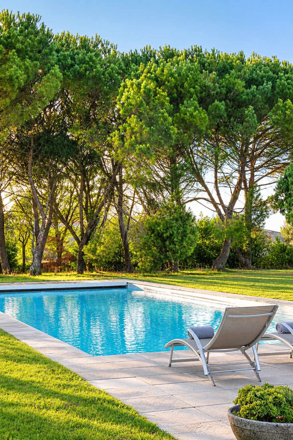 A swimming pool with a lounge chair and a potted plant.