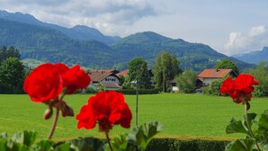 A rural landscape with green fields, red flowers in the foreground, and houses in the background.