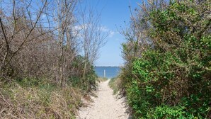 Un sentier sablonneux menant à une plage, bordée de chaque côté d’une végétation luxuriante.
