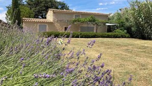 A stone house with a tiled roof, surrounded by a well-maintained lawn and lavender plants. - TRANQUIL RETREAT: DISCOVER PICTURESQUE COUNTRYSIDE FARMHOUSE WITH POOL (Ménerbes)