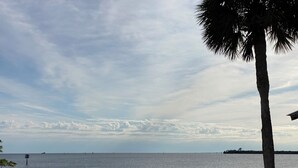 Ein ruhiger Strand mit einer Palme und blauem Himmel.