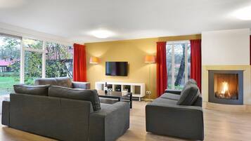 TV connectée, cheminée, lecteur de DVD