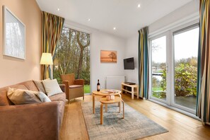 Smart TV, DVD player