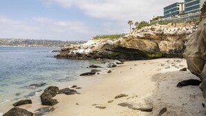 A coastal beach with clear water, rocky outcrops, and a building with people on the upper level. - La Jolla Living by AvantStay | A+ Location | Private Backyard Lounge (San Diego)